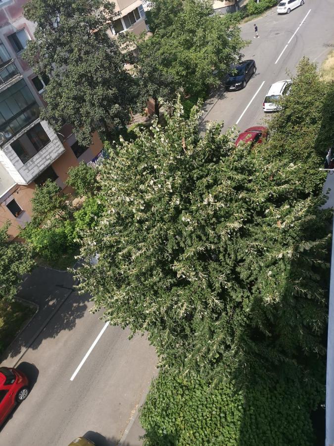 Bloom Box Apartments Craiova Exterior photo
